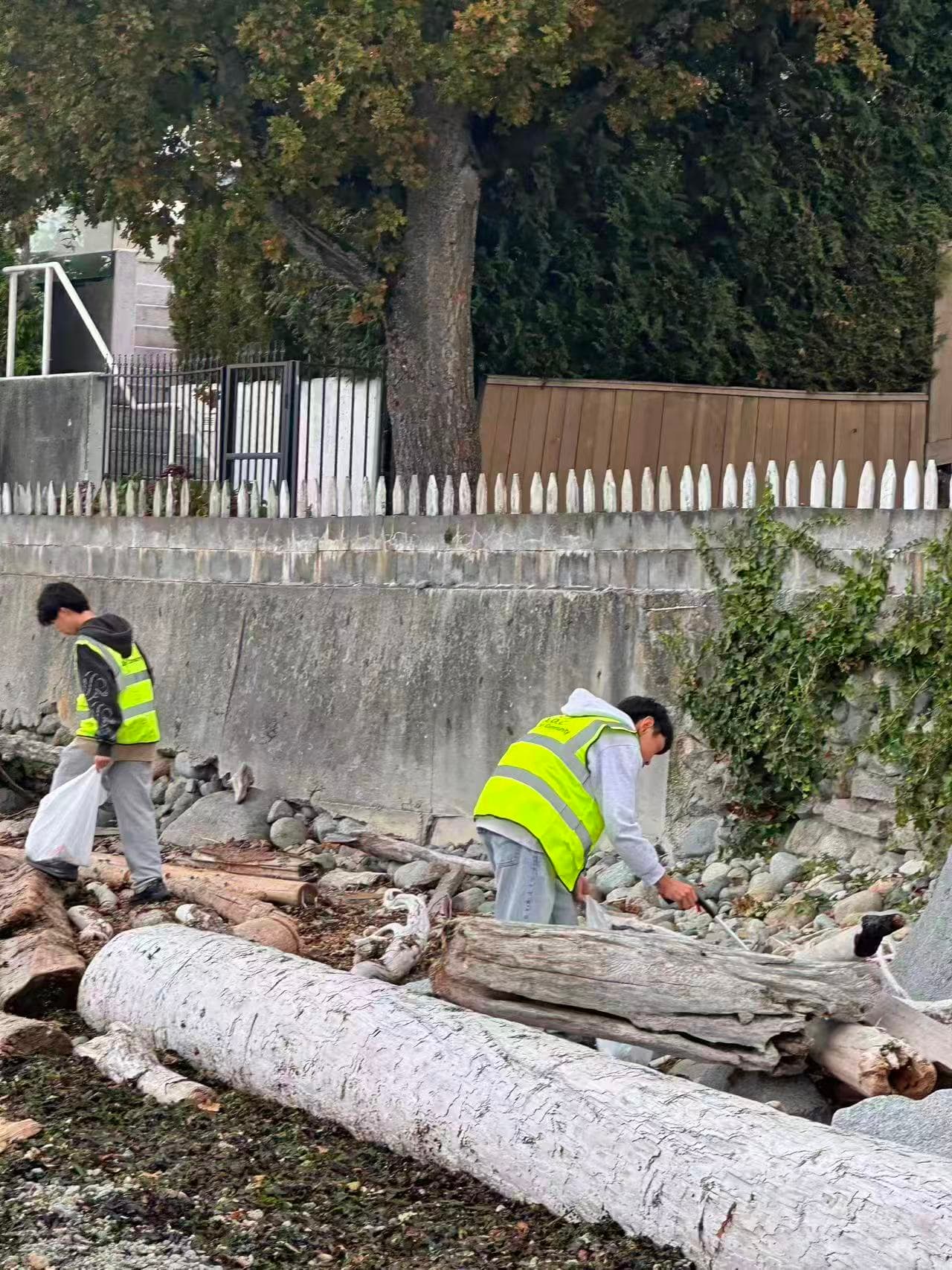 AOC Community Cleanup Activity: West Vancouver Centennial Seawalk photo 11
