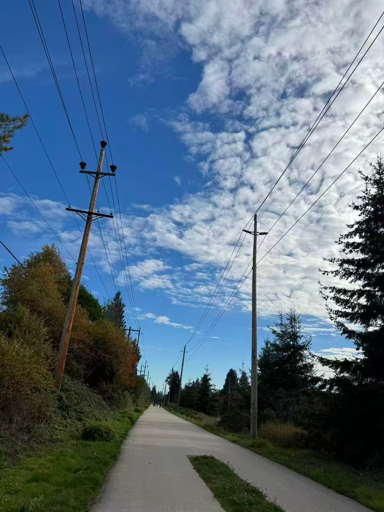 AOC Greenway Cleanup: Greenway photo 4