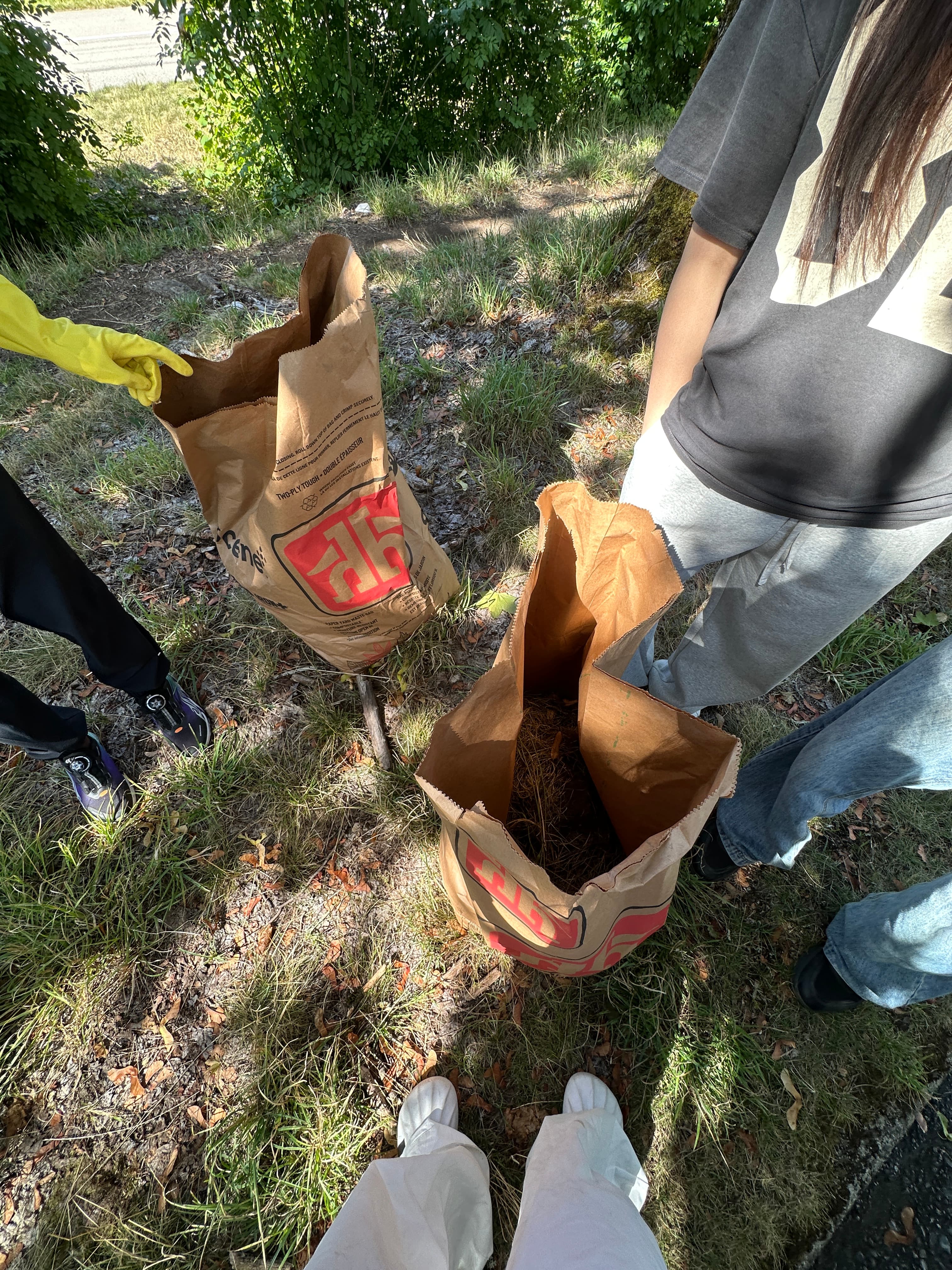 AOC Community Garden Preparation: Arbutus Greenway photo 5