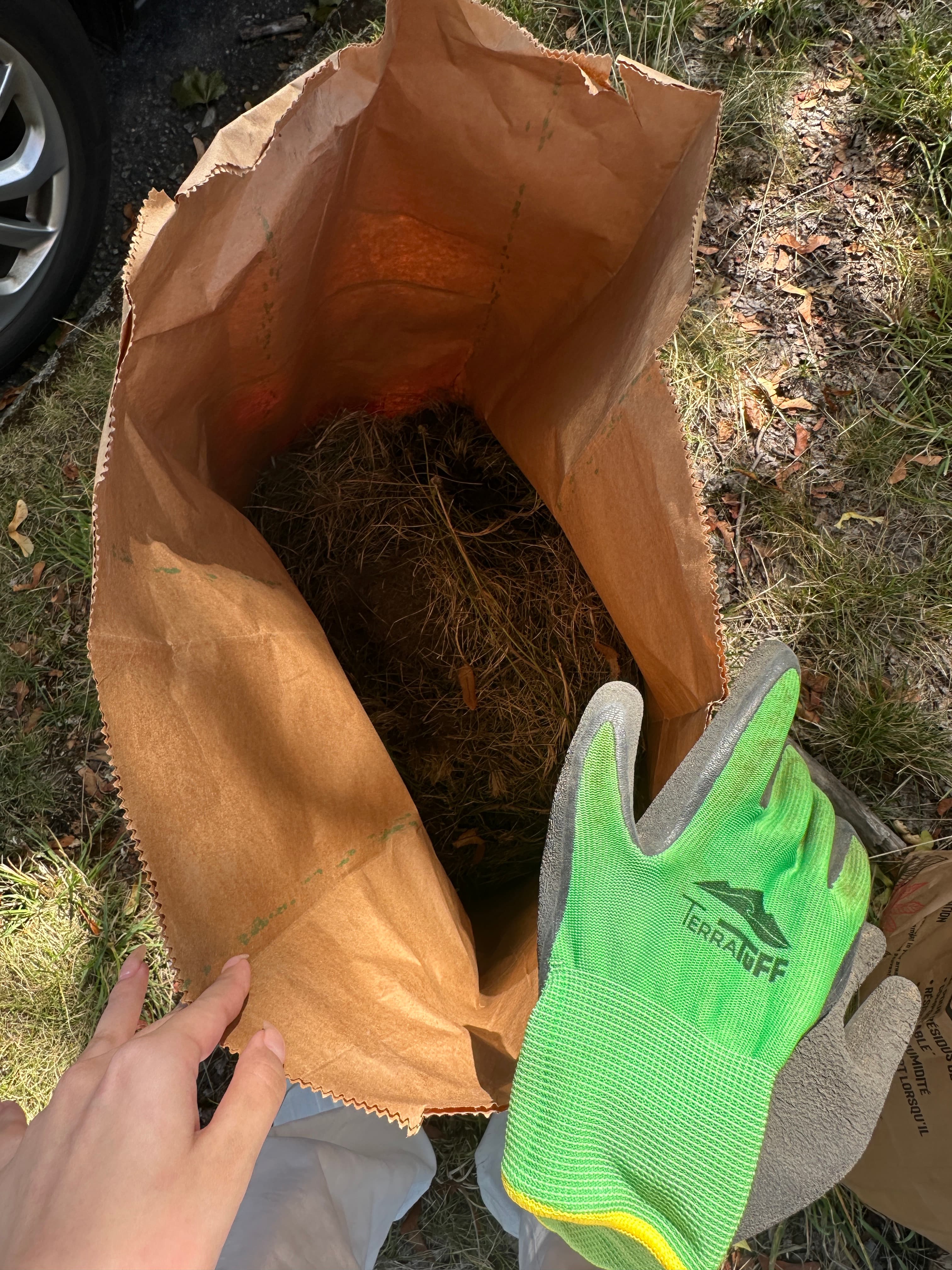 AOC Community Garden Preparation: Arbutus Greenway photo 6