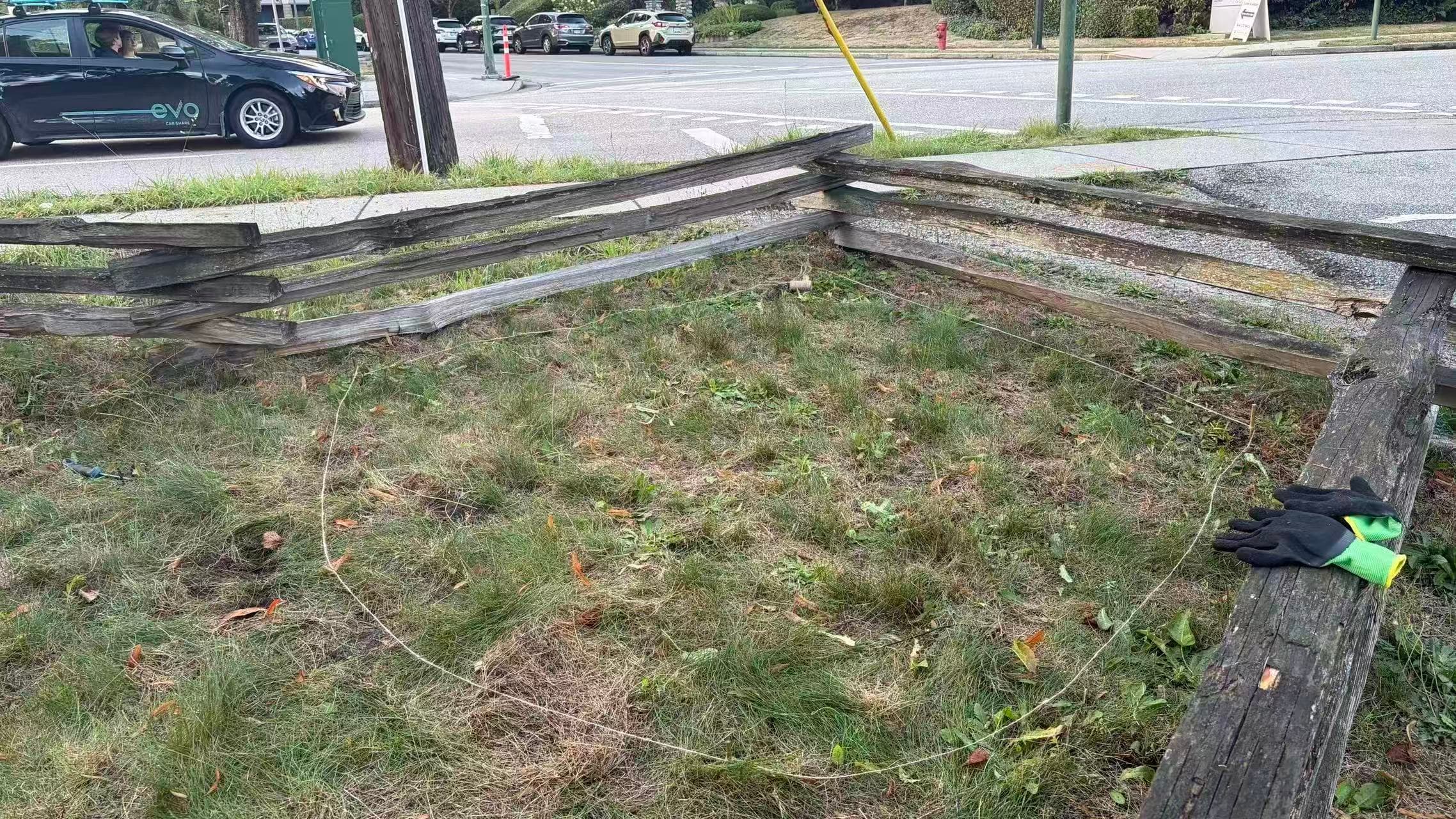 AOC Community Garden Preparation: Arbutus Greenway photo 8