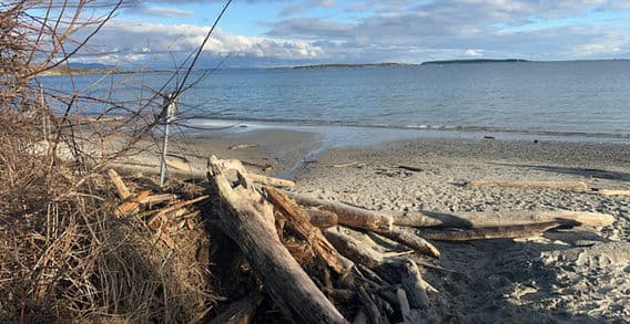 Willows Beach Cleanup photo 2