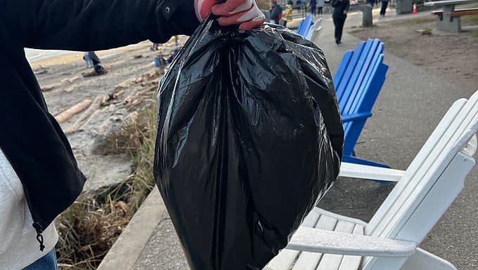 Willows Beach Cleanup