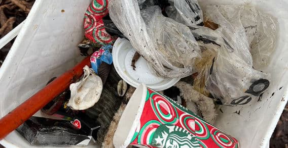 Jericho Beach Park Clean-up photo 2