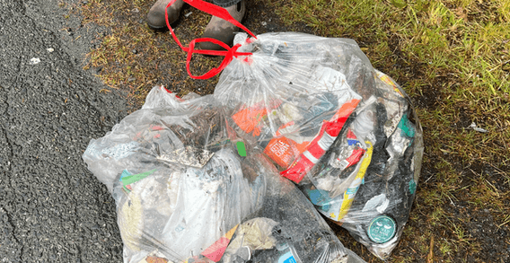 Nanaimo Park Cleanup - Adopt The Earth photo 2