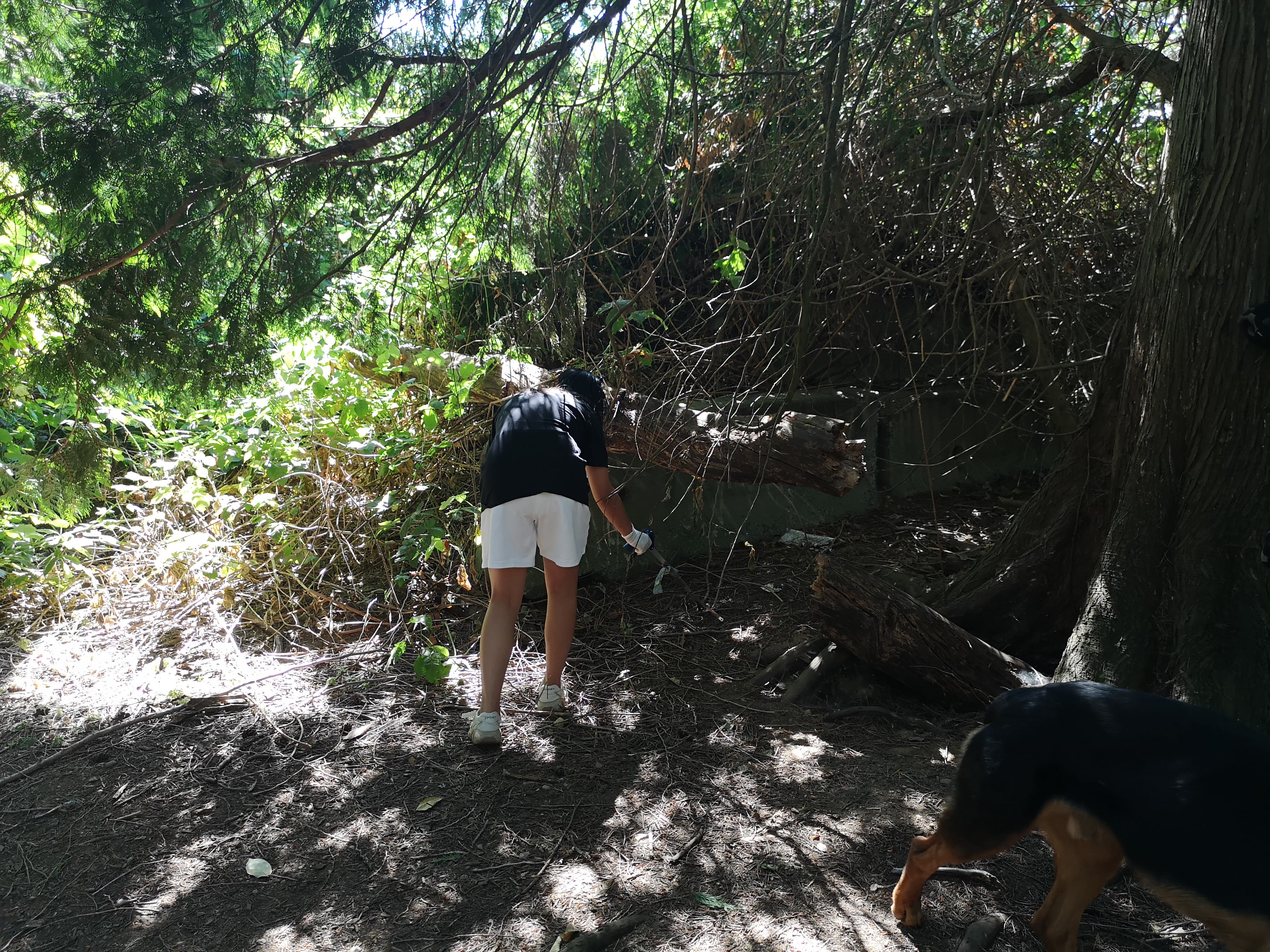 May Richards Bennett Pioneer Park Clean- photo 14