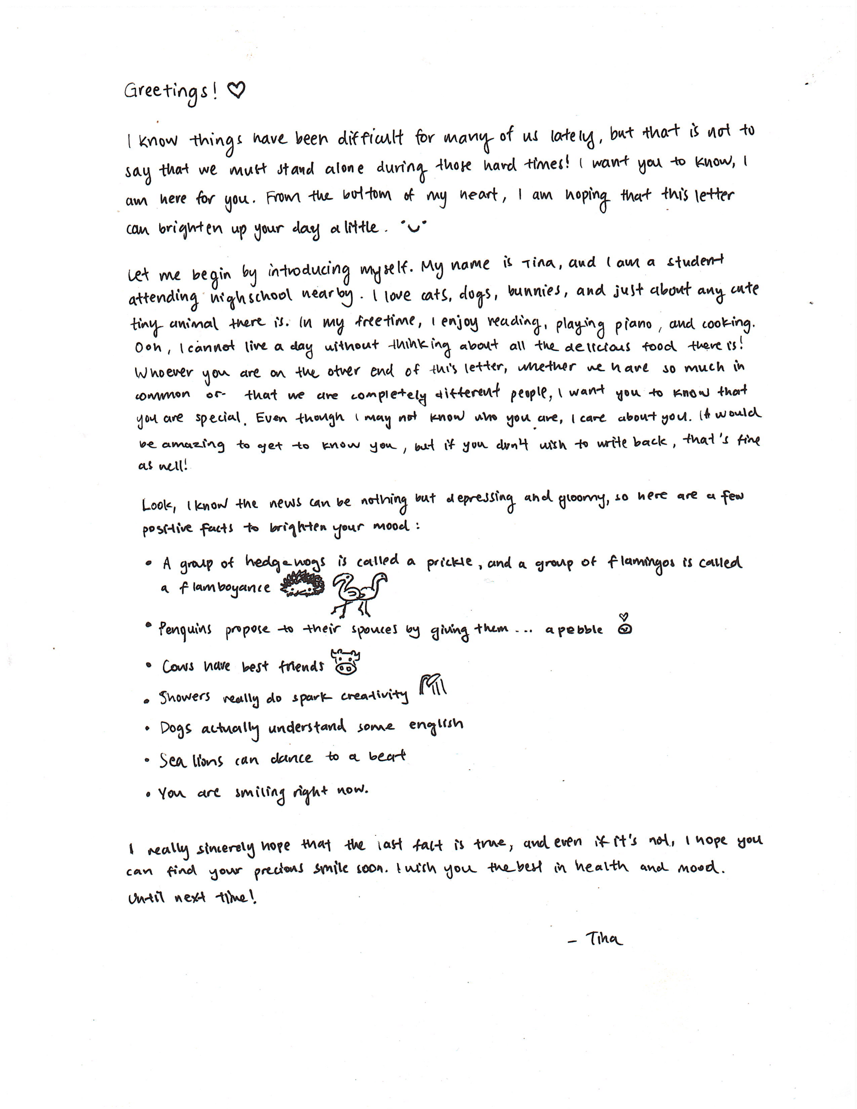 Senior Smiles Letter-Writing Initiative photo 4