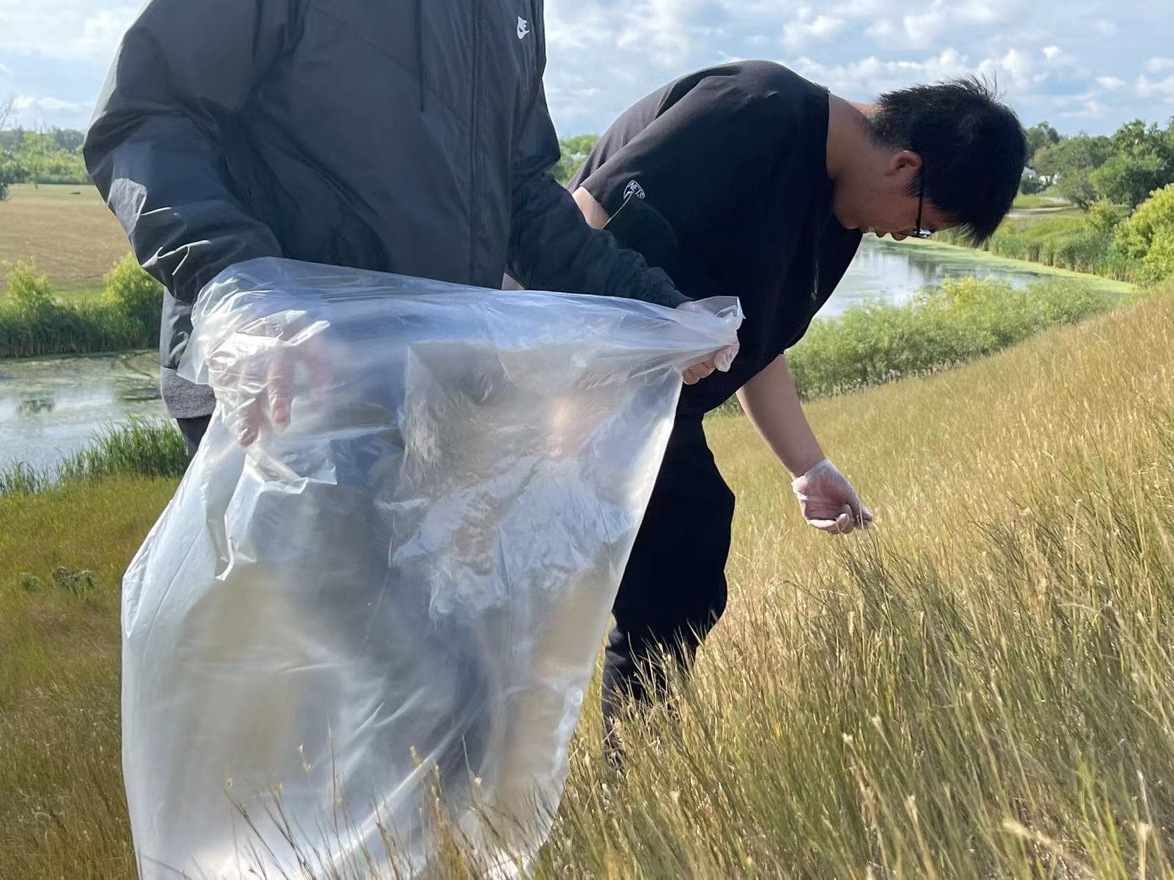 Grassick Park Clean-up photo 15