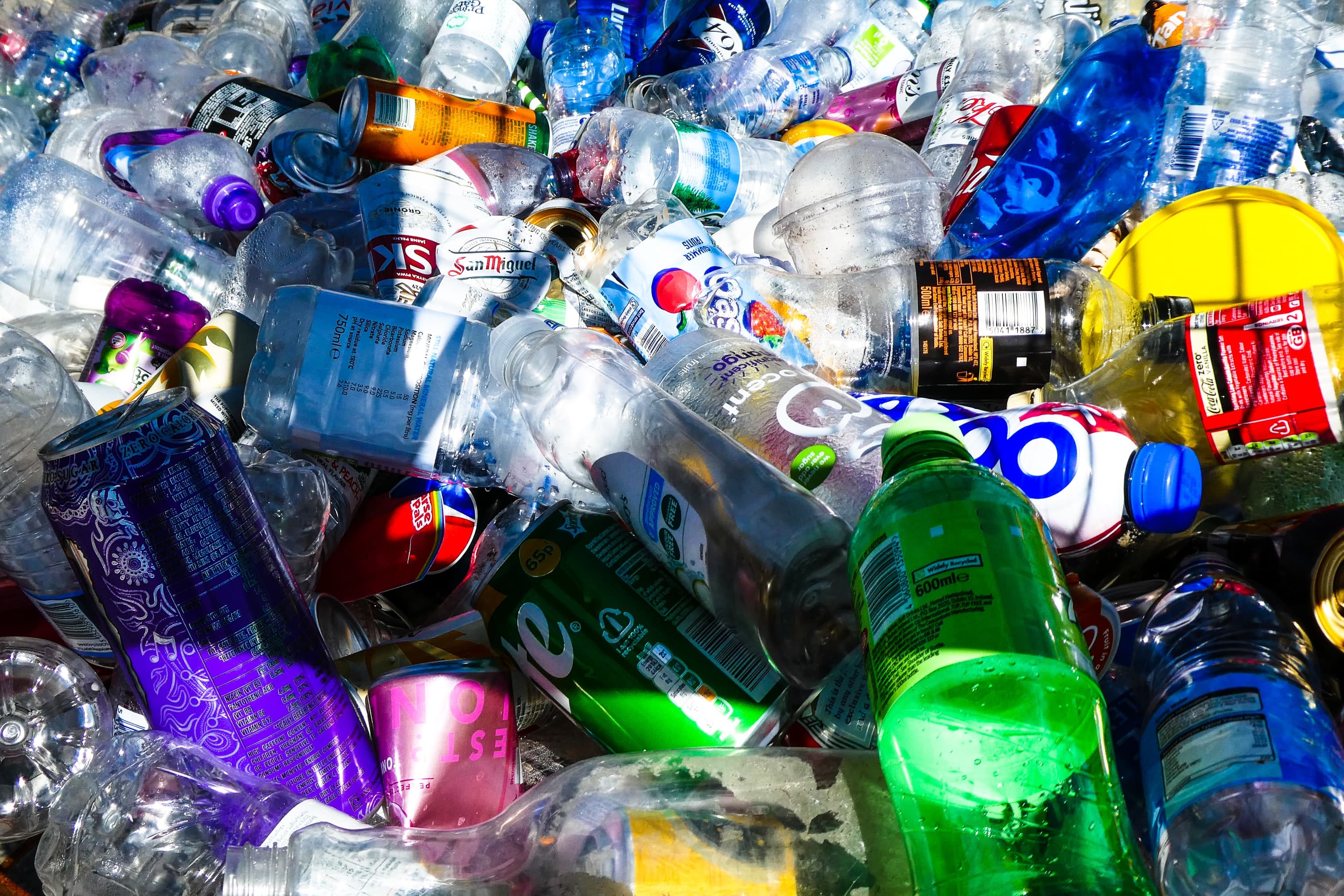 Trash & Where it goes