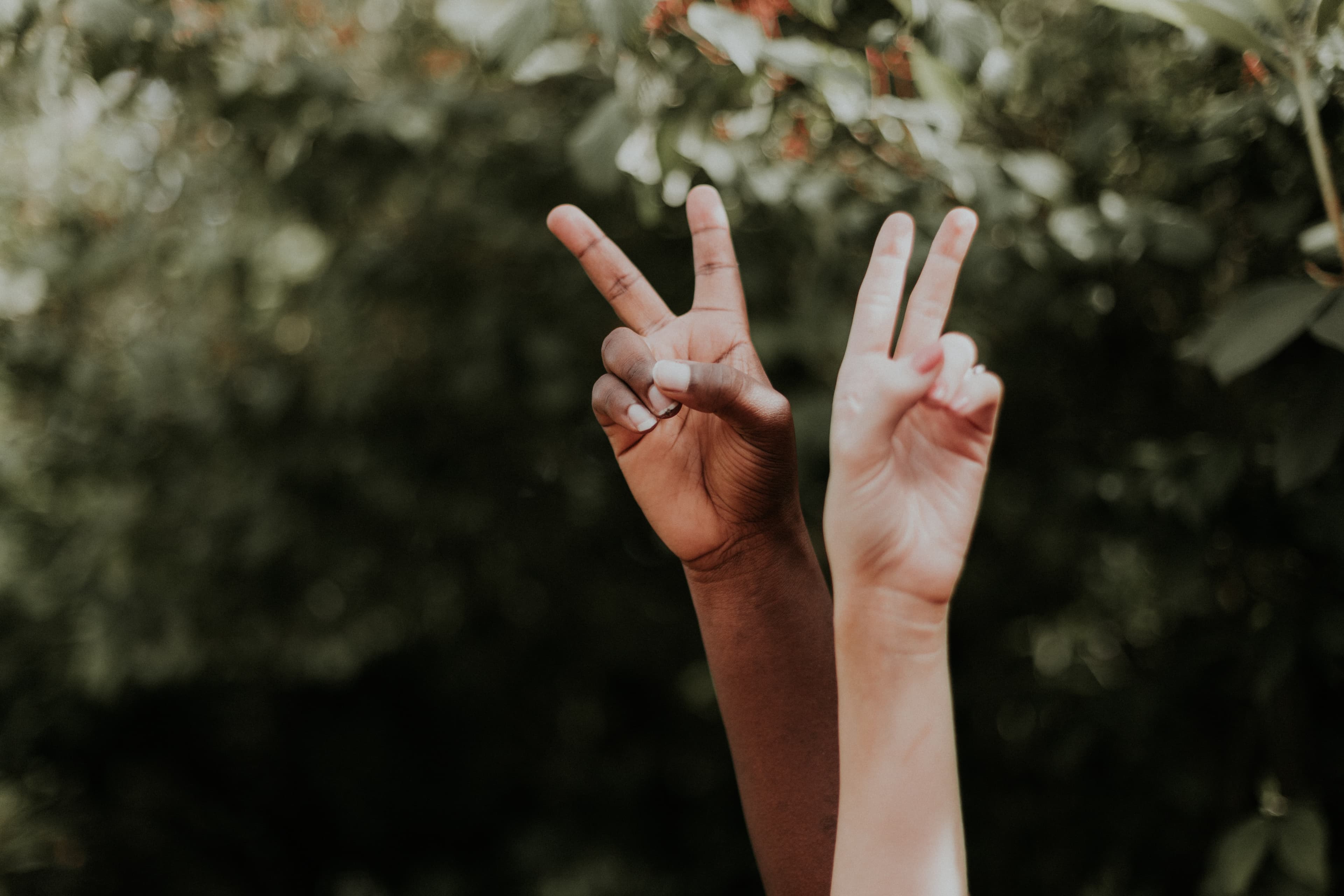 Racial Discrimination in Saskatchewan