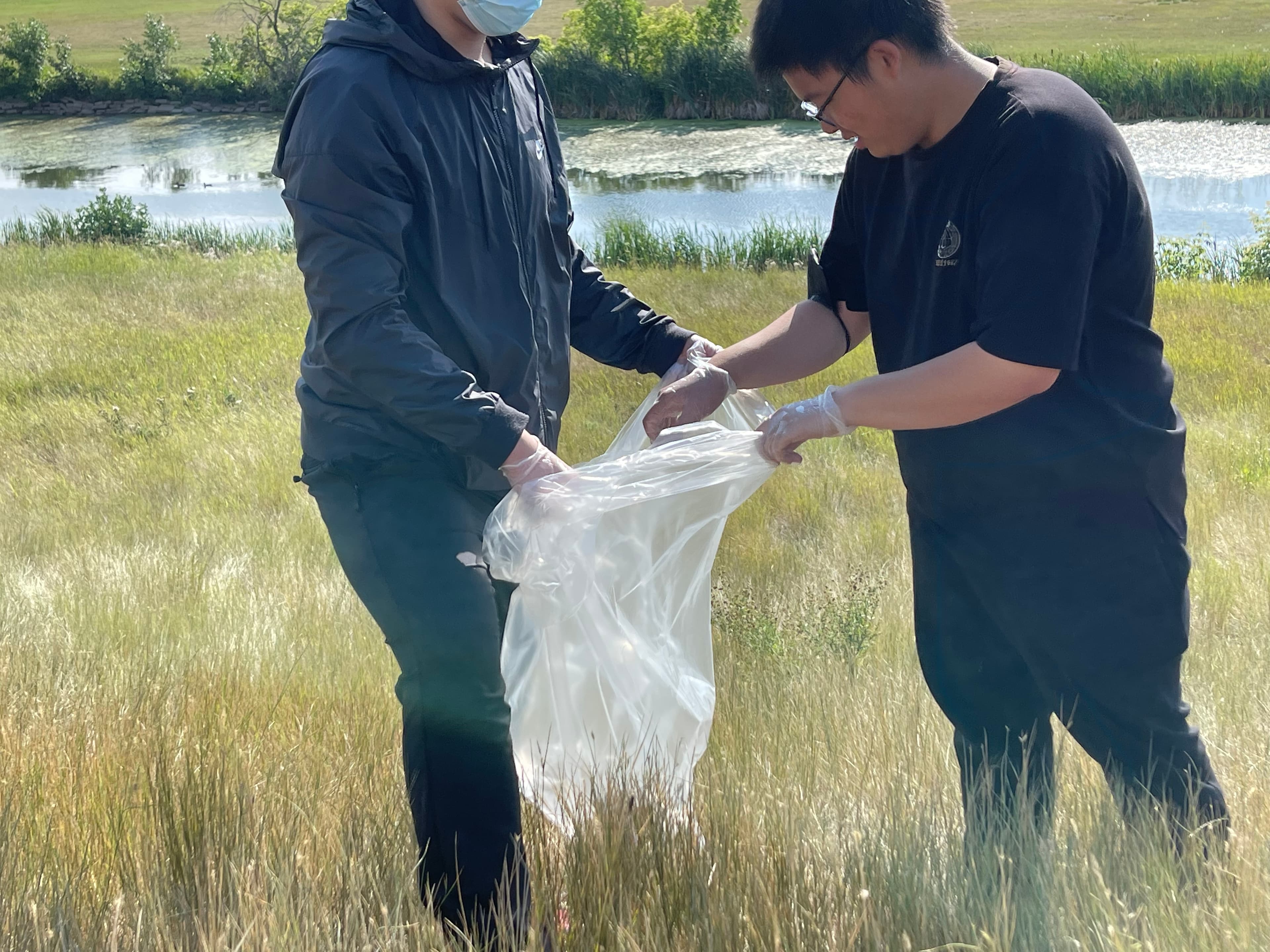 Grassick Park Clean-up photo 13