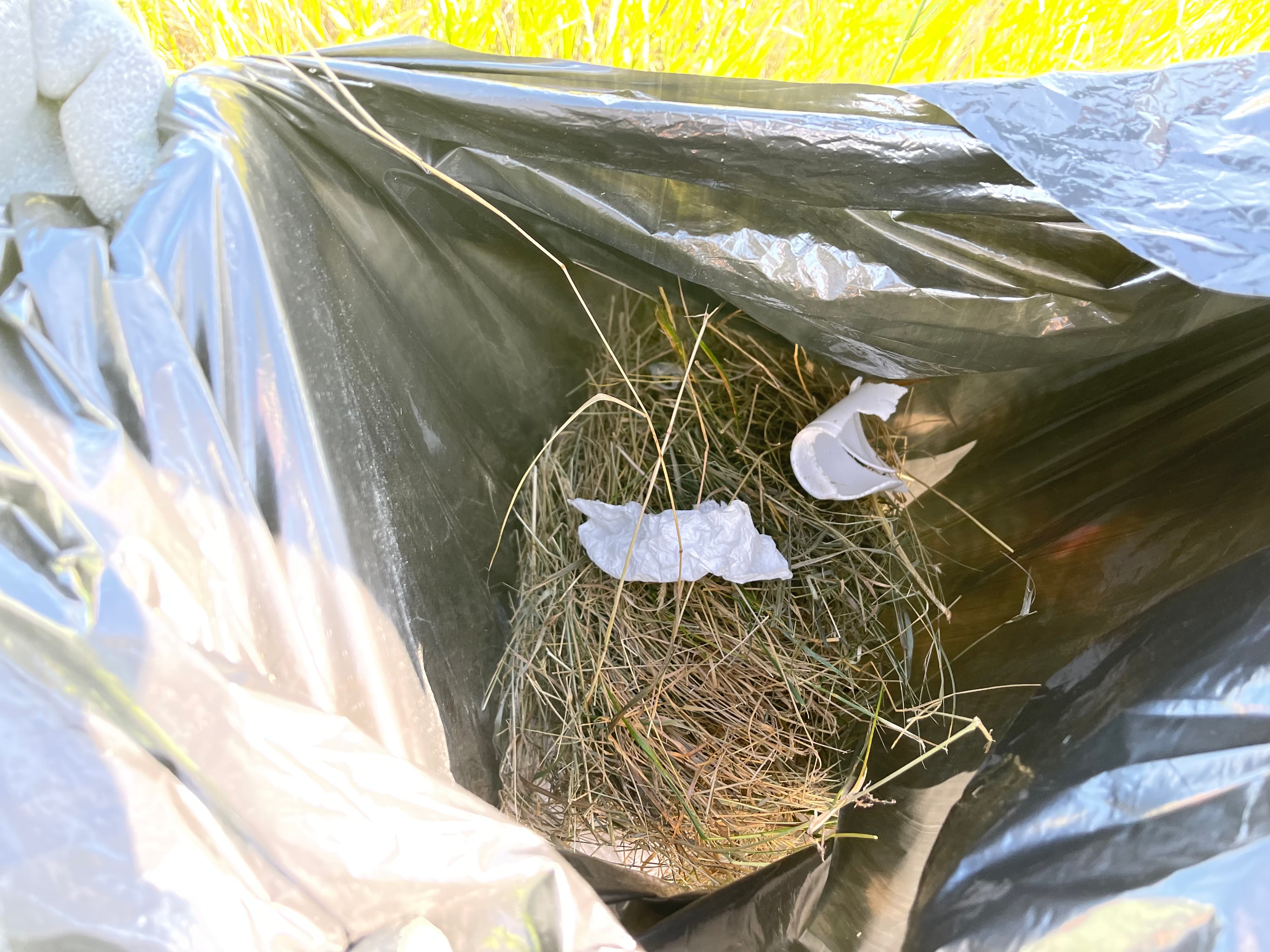 Grassick Park Clean-up photo 5